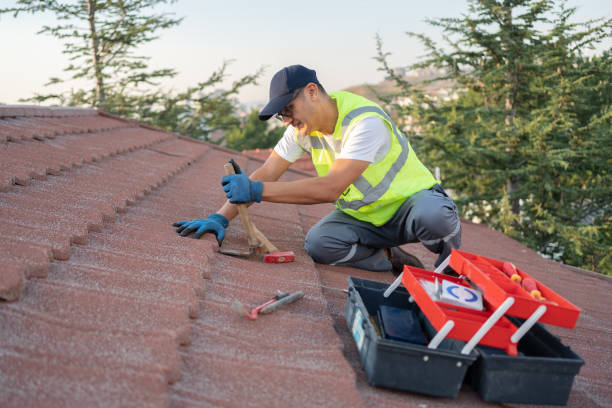 Quick and Trustworthy Emergency Roof Repair Services in Coon Rapids, MN