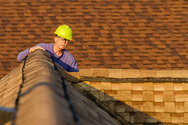Best Roof Inspection Near Me  in Coon Rapids, MN
